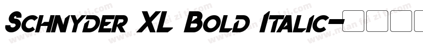Schnyder XL Bold Italic字体转换